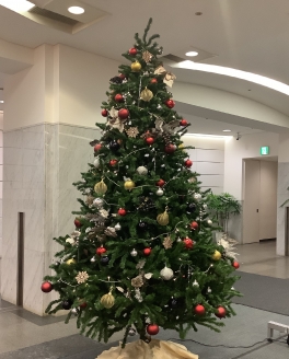 【SYNTH(シンス)北浜ブログ】クリスマスツリーの登場です！